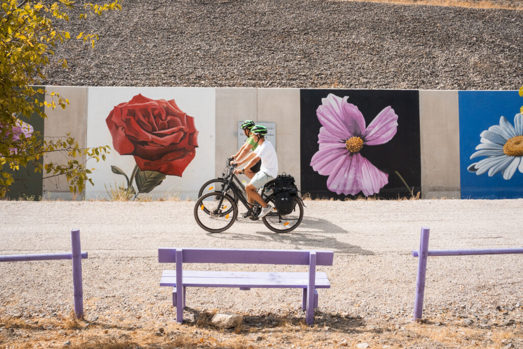 En bici por un mar de olivos: vive la esencia de Martos y Torredonjimeno