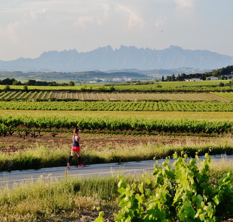 Grand Tour de Cataluña: de Norte a Sur