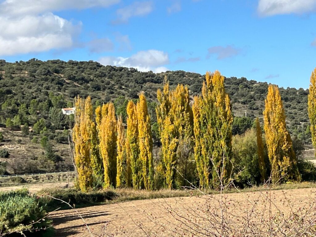 Alquila tu E-bike y descubre el Valle del Tajuña